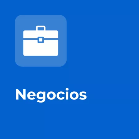 figure-negocios-v2